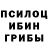 Псилоцибиновые грибы Cubensis EVGENI KOBALADZE
