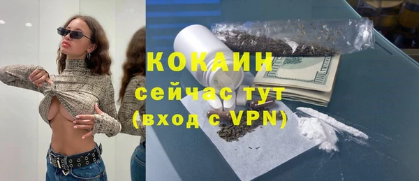 ГАЛЛЮЦИНОГЕННЫЕ ГРИБЫ Абаза