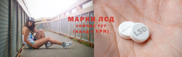 ГАЛЛЮЦИНОГЕННЫЕ ГРИБЫ Абаза