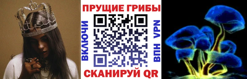 Галлюциногенные грибы MAGIC MUSHROOMS  Кострома 