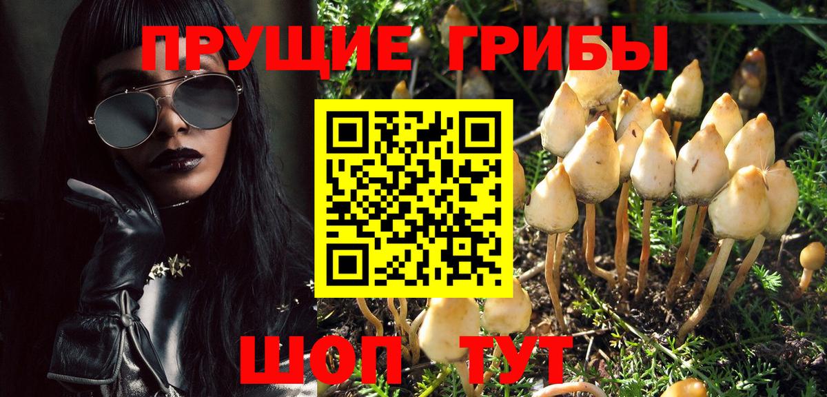 Псилоцибиновые грибы Psilocybine cubensis  Вход с VPN  Кострома  Галлюциногенные грибы прущие грибы 